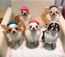 TRX钱包app下载