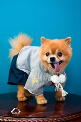 okpay钱包币可以卖钱吗