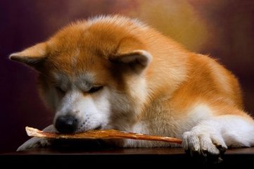 okpay钱包怎么抢单