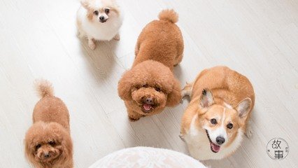 比特币钱包官方下载安装
