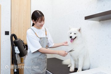 USDT转账TRX不足