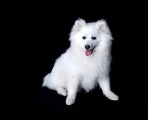 ok钱包可以注销账号吗