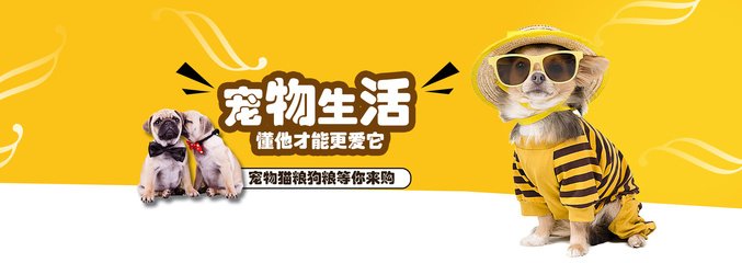 ok钱包请输入充值单编号