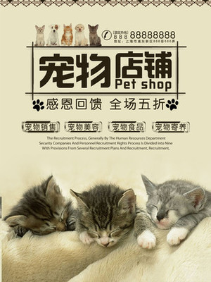 虚拟币手机钱包app
