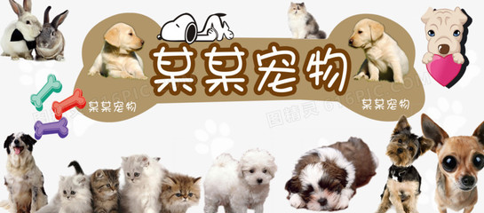 ok钱包可爱