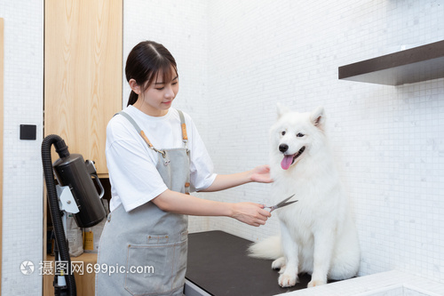 okpay钱包怎么收钱