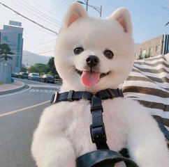 tokeninsight官网