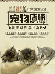 ETH钱包官网钱包
